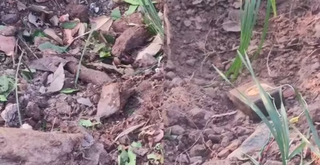 टिफिन और बीयर की बोतल में छिपा था बम, CRPF जवानों ने नाकाम की बड़ी साजिश, सुरक्षाबल थे निशाने पर CRPF